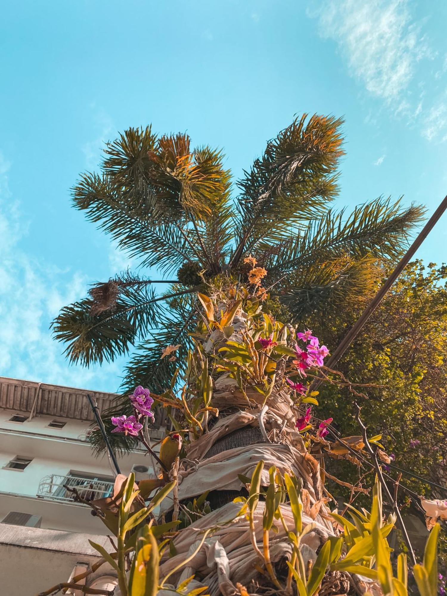 Hotel Appel Santa Maria  Exterior photo