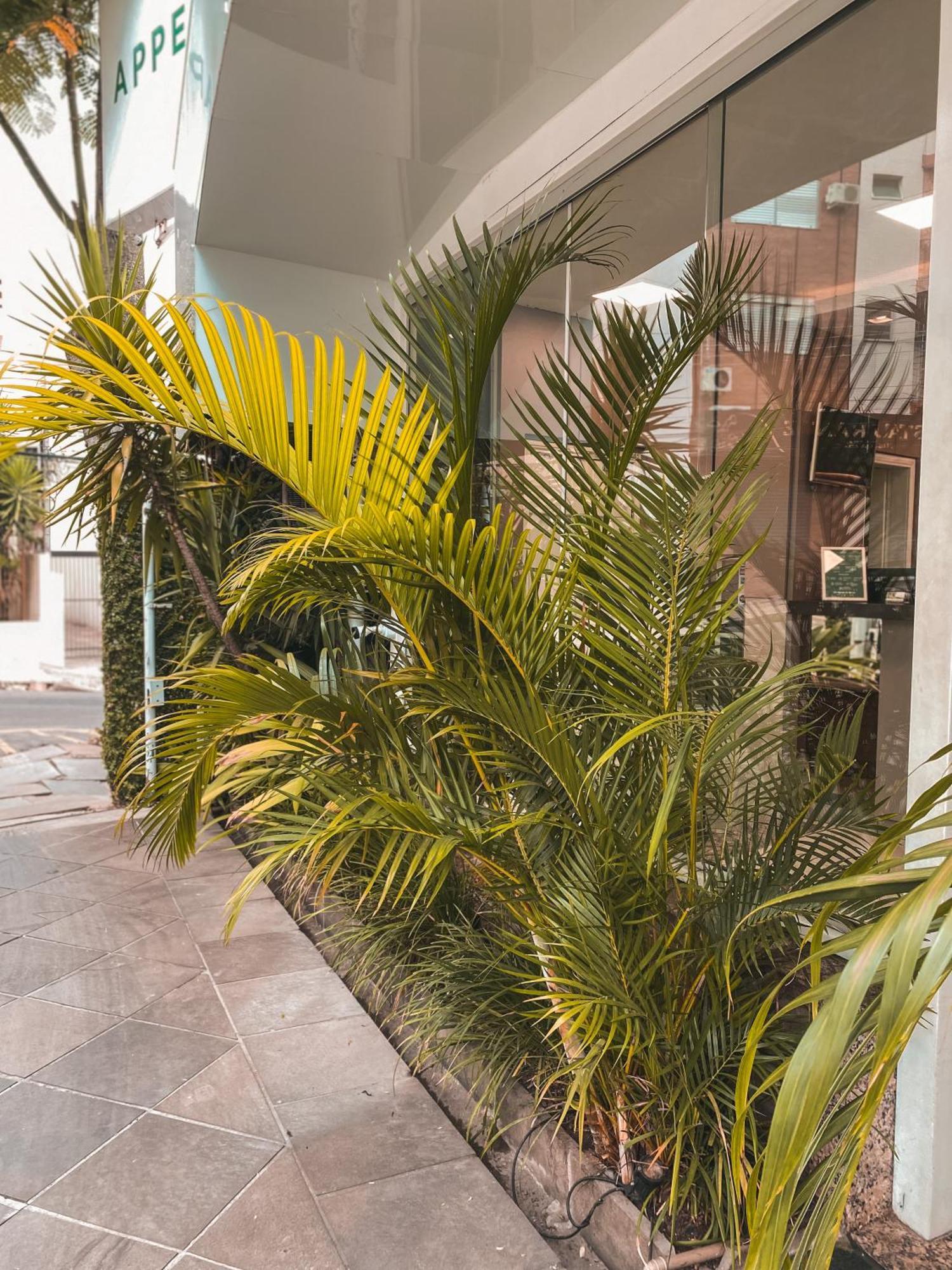 Hotel Appel Santa Maria  Exterior photo